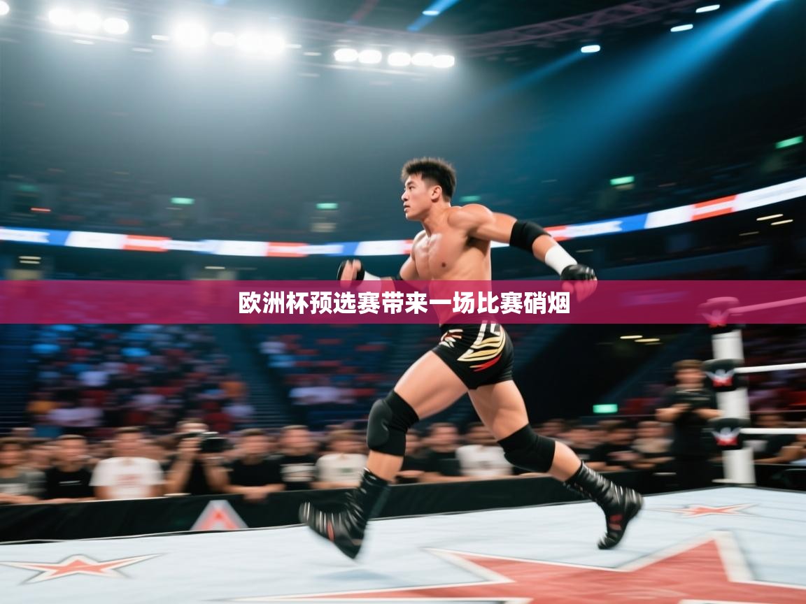 欧洲杯预选赛带来一场比赛硝烟