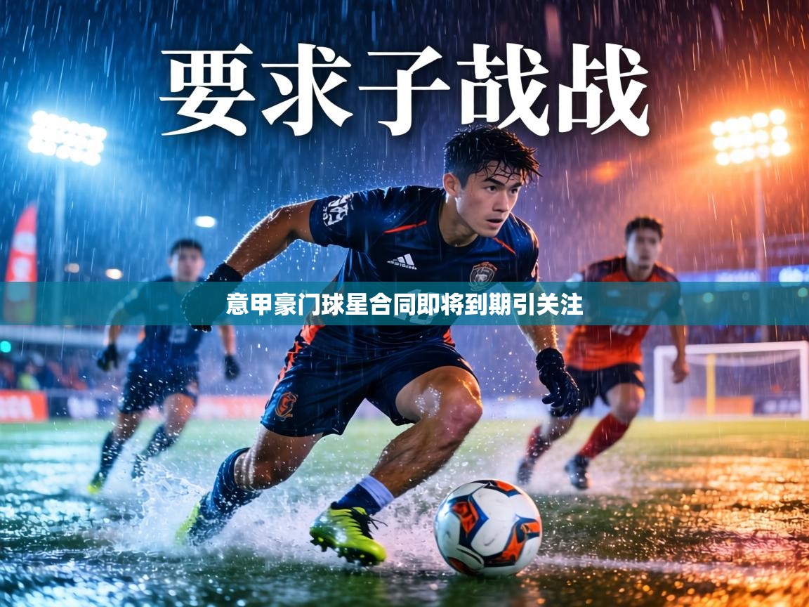 意甲豪门球星合同即将到期引关注 第2张