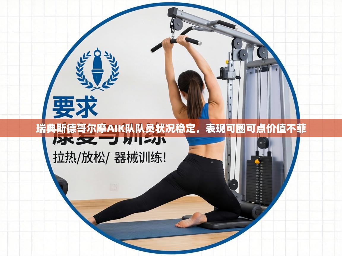 瑞典斯德哥尔摩AIK队队员状况稳定，表现可圈可点价值不菲  第1张