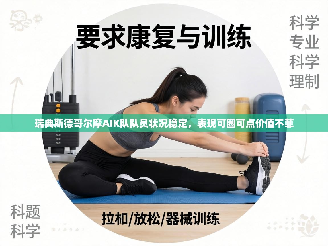 瑞典斯德哥尔摩AIK队队员状况稳定，表现可圈可点价值不菲  第2张